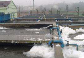 水性消泡劑應用場景