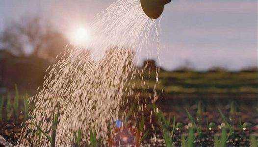 農(nóng)業(yè)用消泡劑應用場景